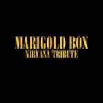 Marigold Box