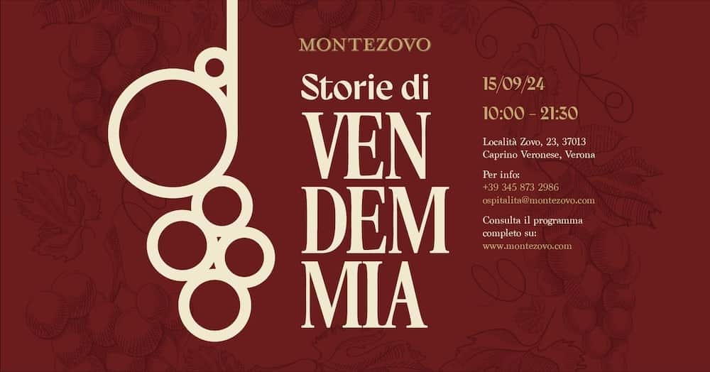 storie di vendemmia